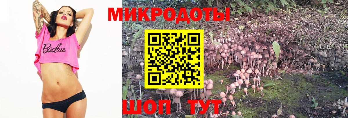 Галлюциногенные грибы Psilocybine cubensis Калач-на-Дону