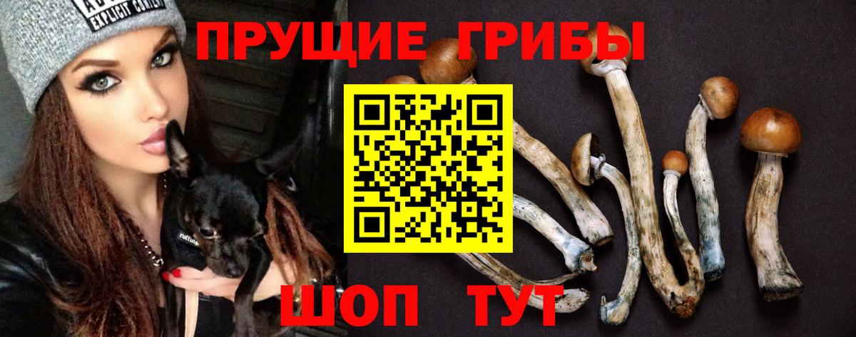 Галлюциногенные грибы Magic Shrooms  Вход с VPN  Калач-на-Дону 